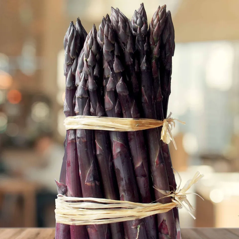 Bakker Potager Asperge rouge Rosalie paquet 20 griffes