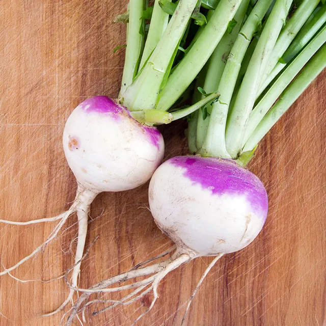 Bakker Potager et Graines Navet Auvergne Tardive graines sachet 5g hiver