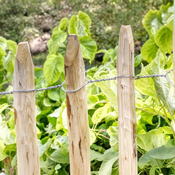 Ets Leneindre Ganivelle 6 cm clôture châtaignier rouleau 10 m