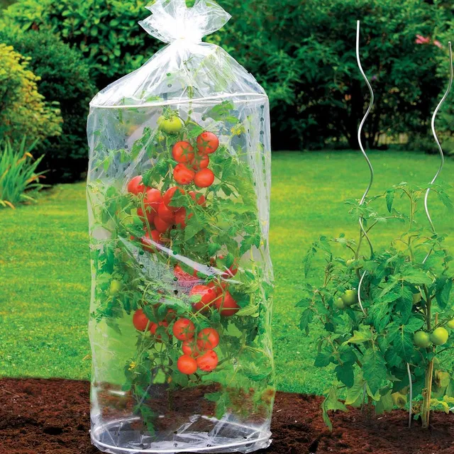 Bakker housses tomates protection lot de 2 réutilisable
