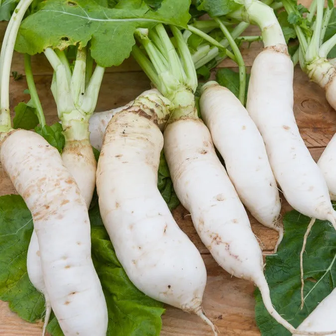 Bakker Navet Croissy demi-long sachet 5g potager