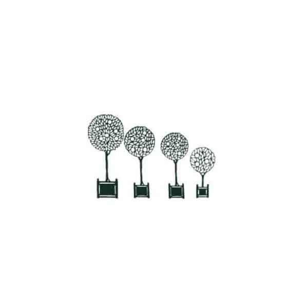 Ets Leneindre Orangers silhouette arbre extérieur vert