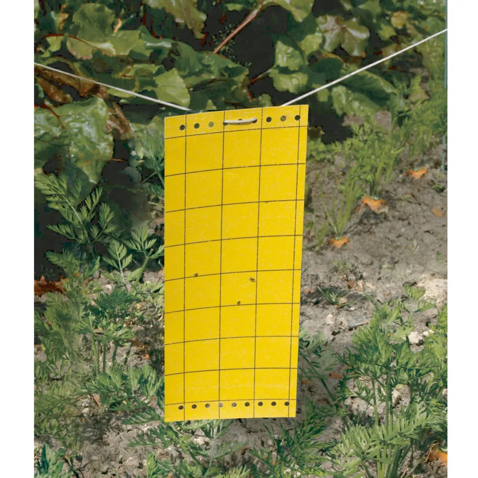 Nortene Pièges à insectes englués piège jaune lot de 5