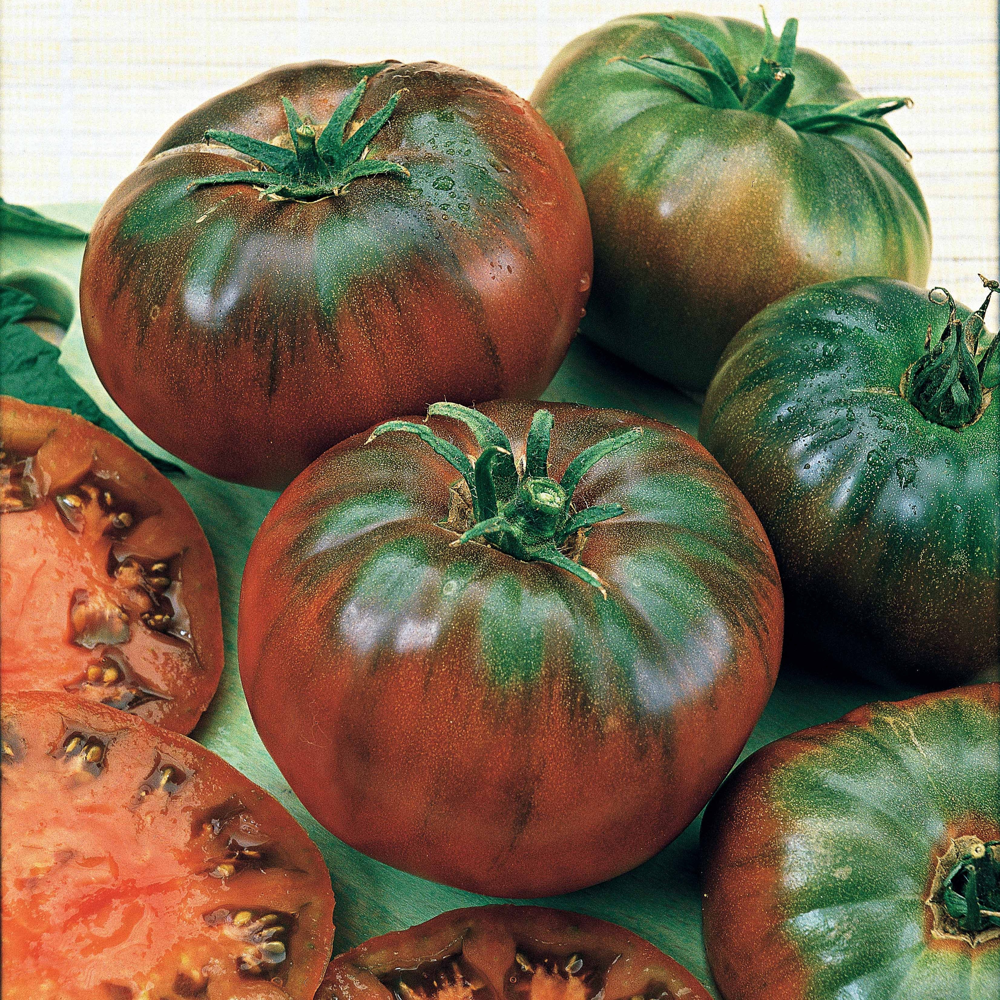 Bakker Tomate Noire russe sachet 50 graines sucrée