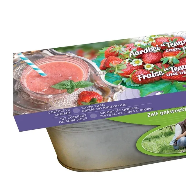 Bakker Fraisier Temptation graines kit jardinière zinc