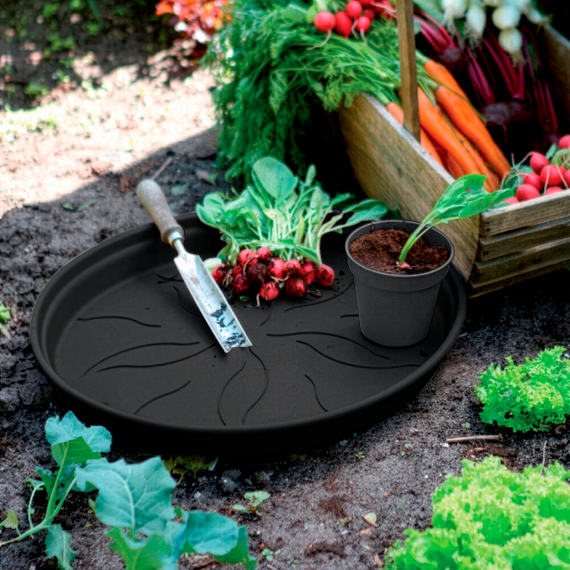 Elho Green Basics Living soucoupe noir Ø 22 cm plastique