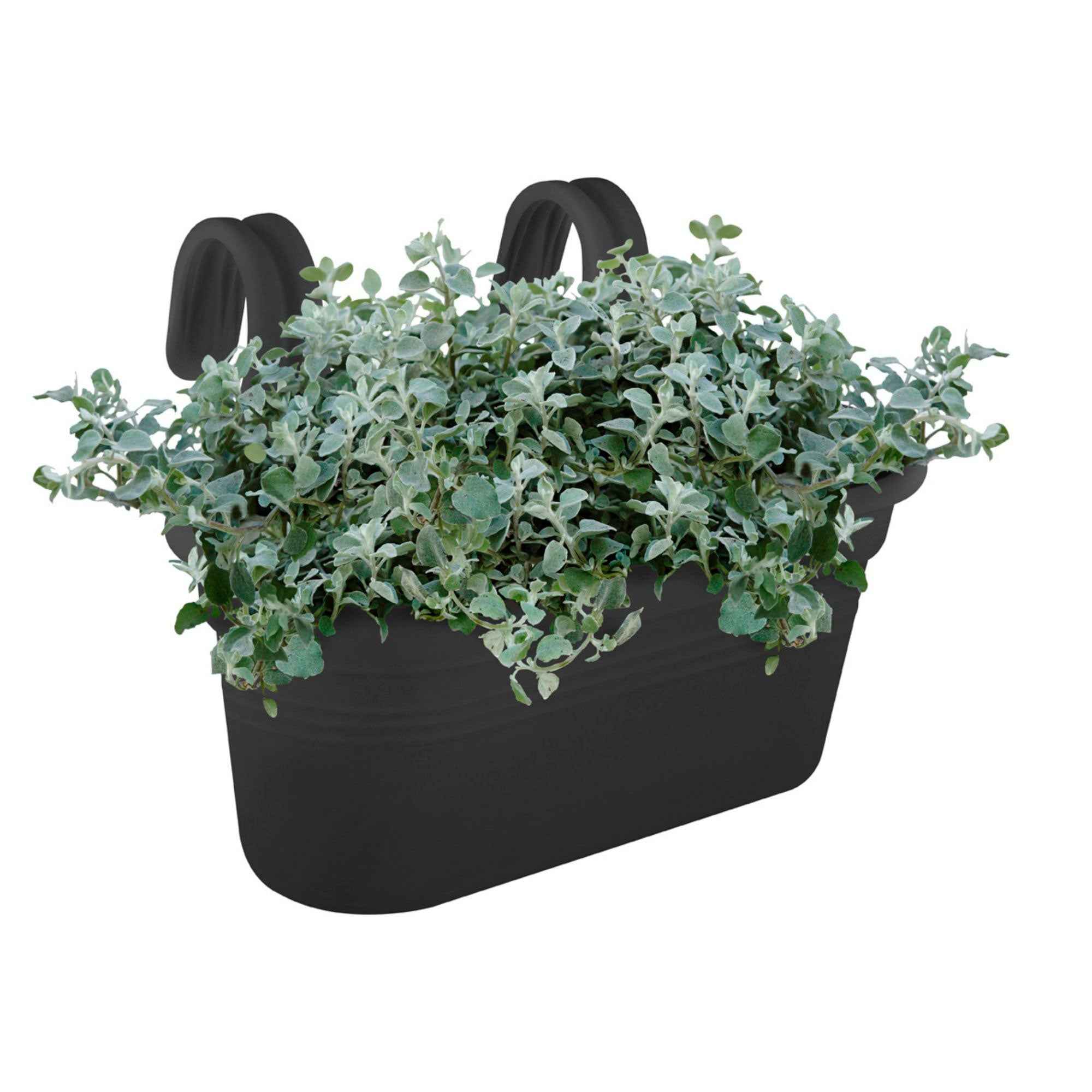 Bakker Easy Hanger Living jardinière balcon noir L 36 cm
