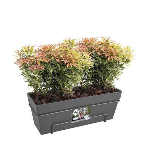 Bakker Elho Loft Urban jardinière anthracite 50cm pièce