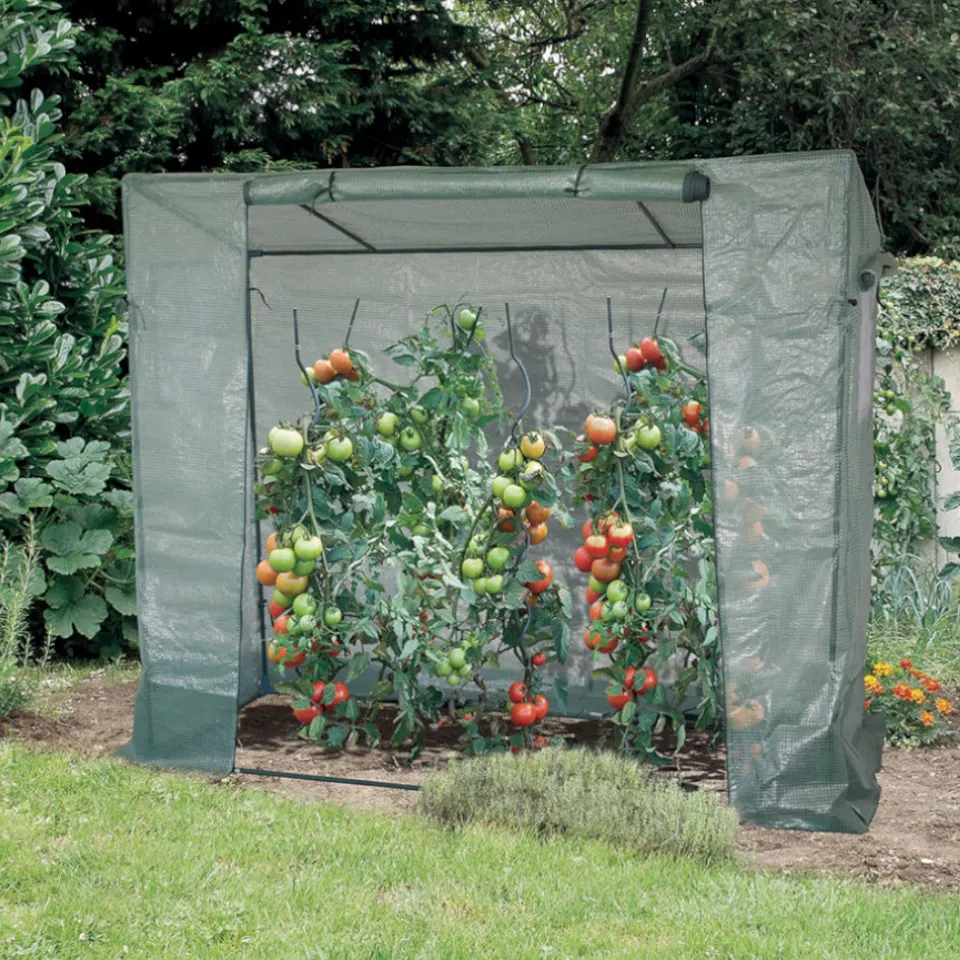 Bakker Serre pour tomates 169x70x200 cm la pièce