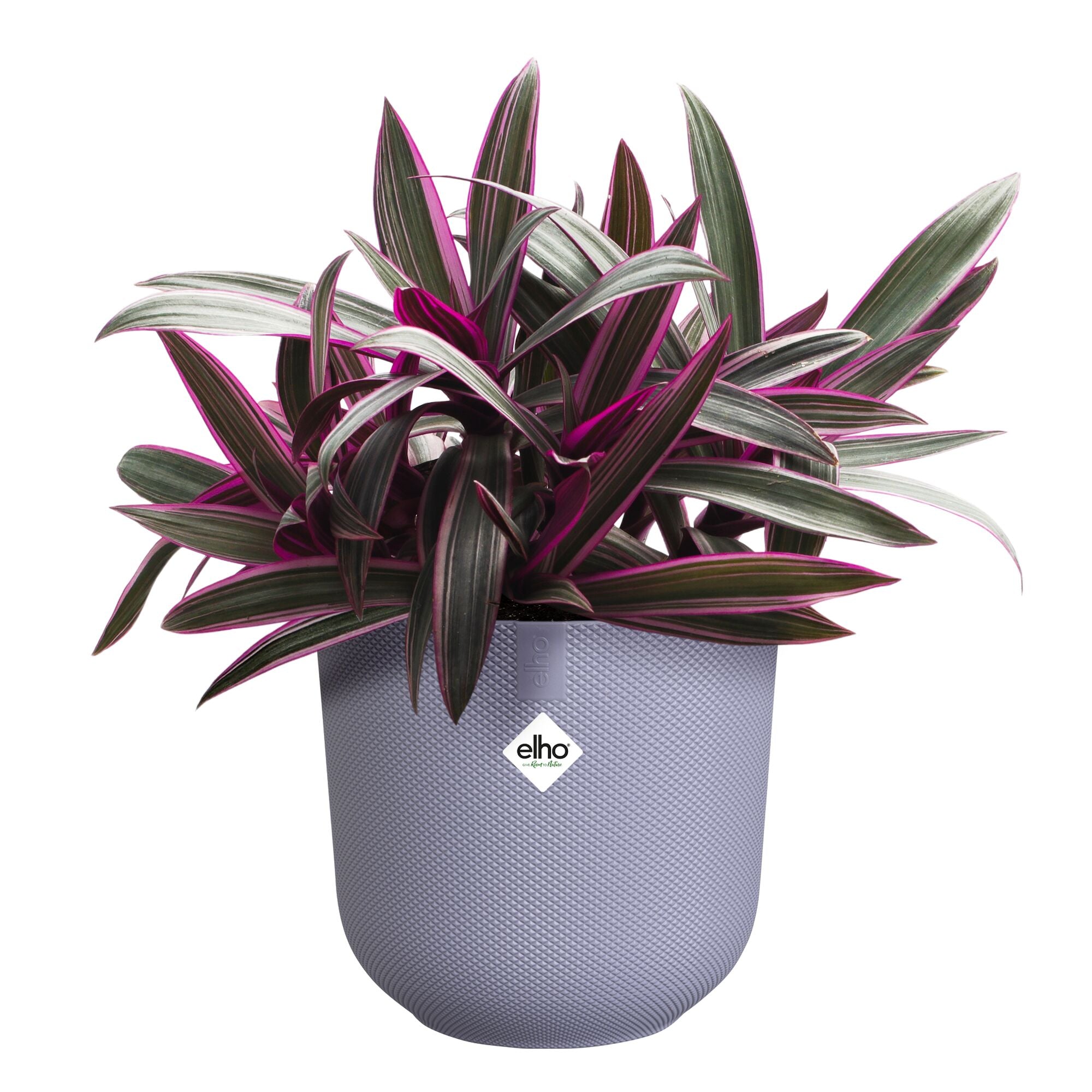 Bakker Jazz Cache-pot Jazz lilas ELHO Ø 14 cm violet relief