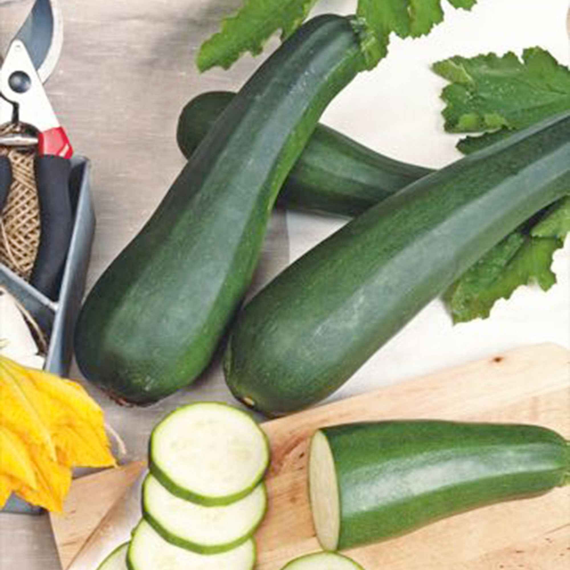 Bakker Courgette Partenon F1 graines sachet 8 graines