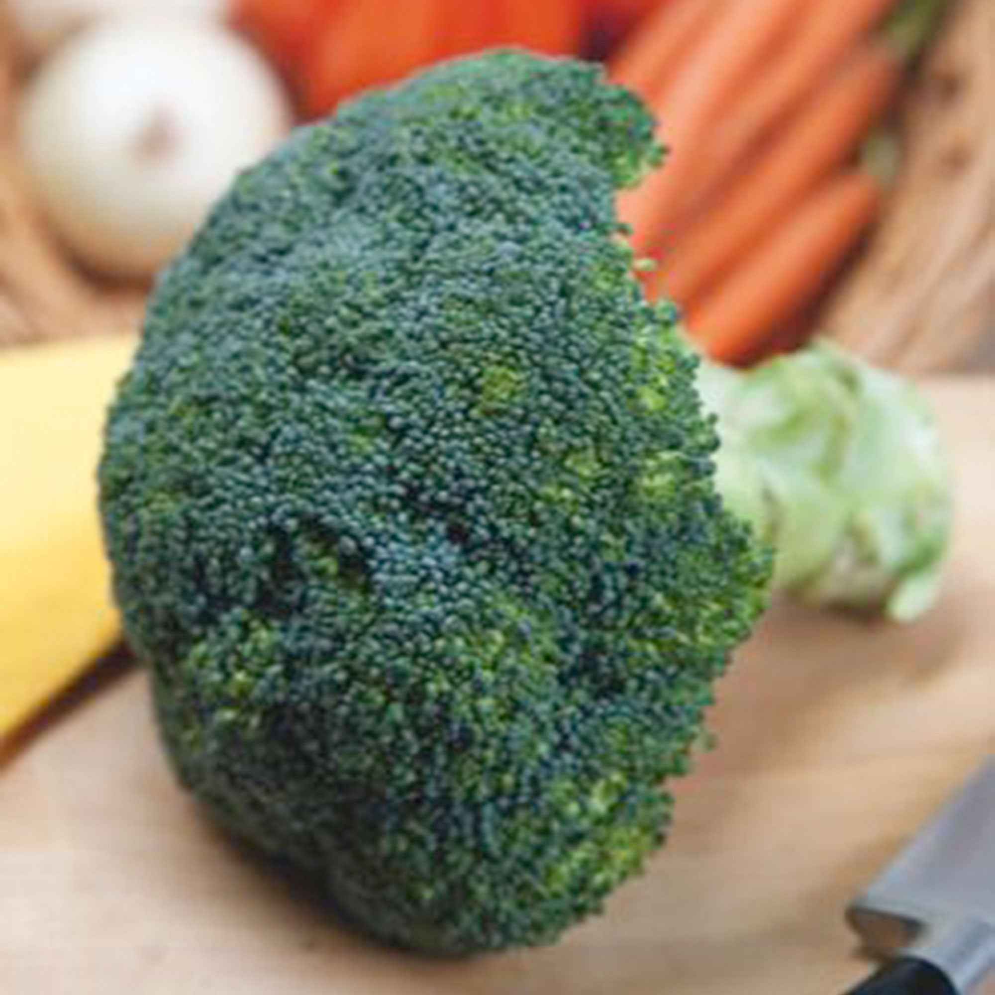 Bakker Chou Brocoli Calabrese Natalino graines 1g