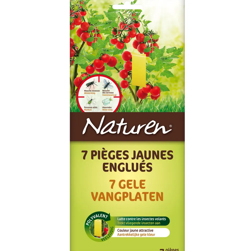 Naturen Pièges jaunes englués lot de 7 anti-insectes