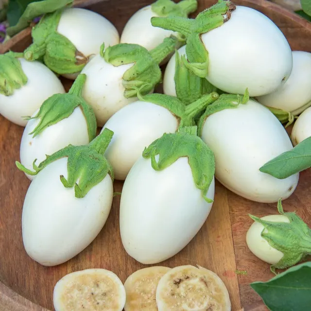 Bakker Aubergine Blanche ronde à œufs graines 1g