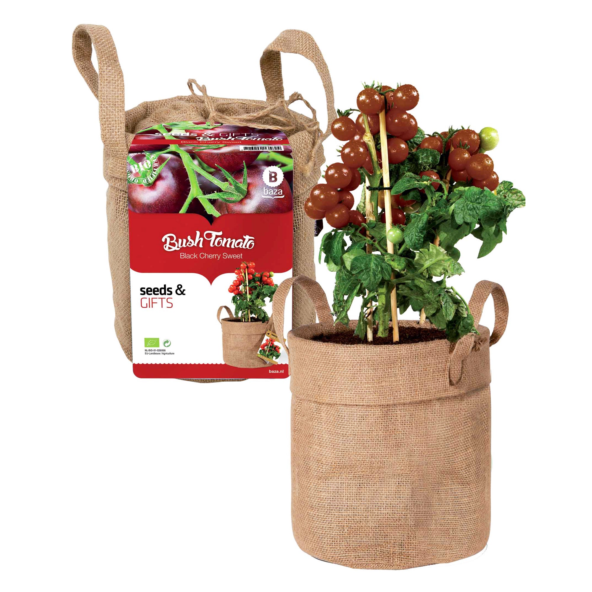 Bakker Kit Tomate cerise noire + sac déco et terreau