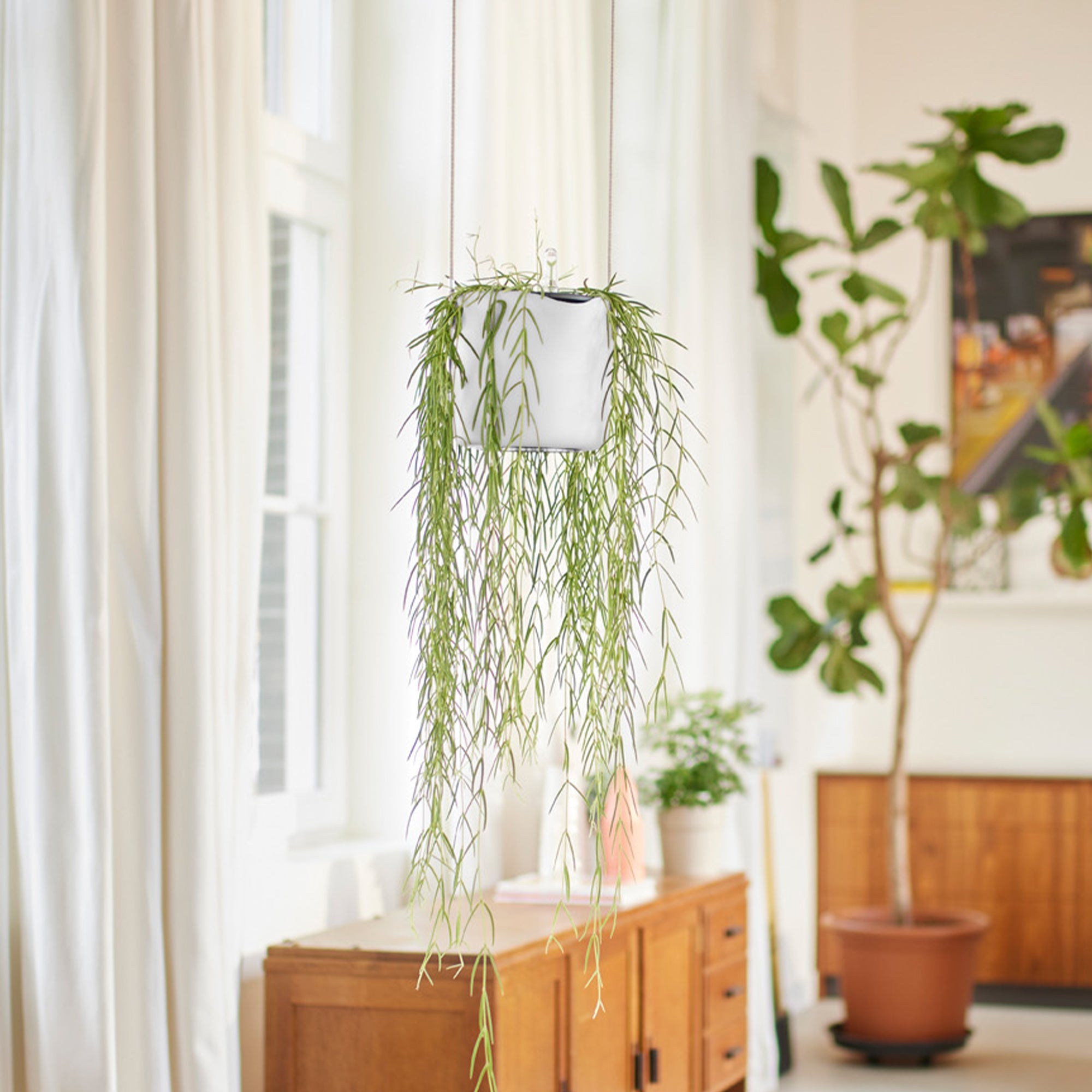 Elho B for Swing suspension blanc pot 18cm