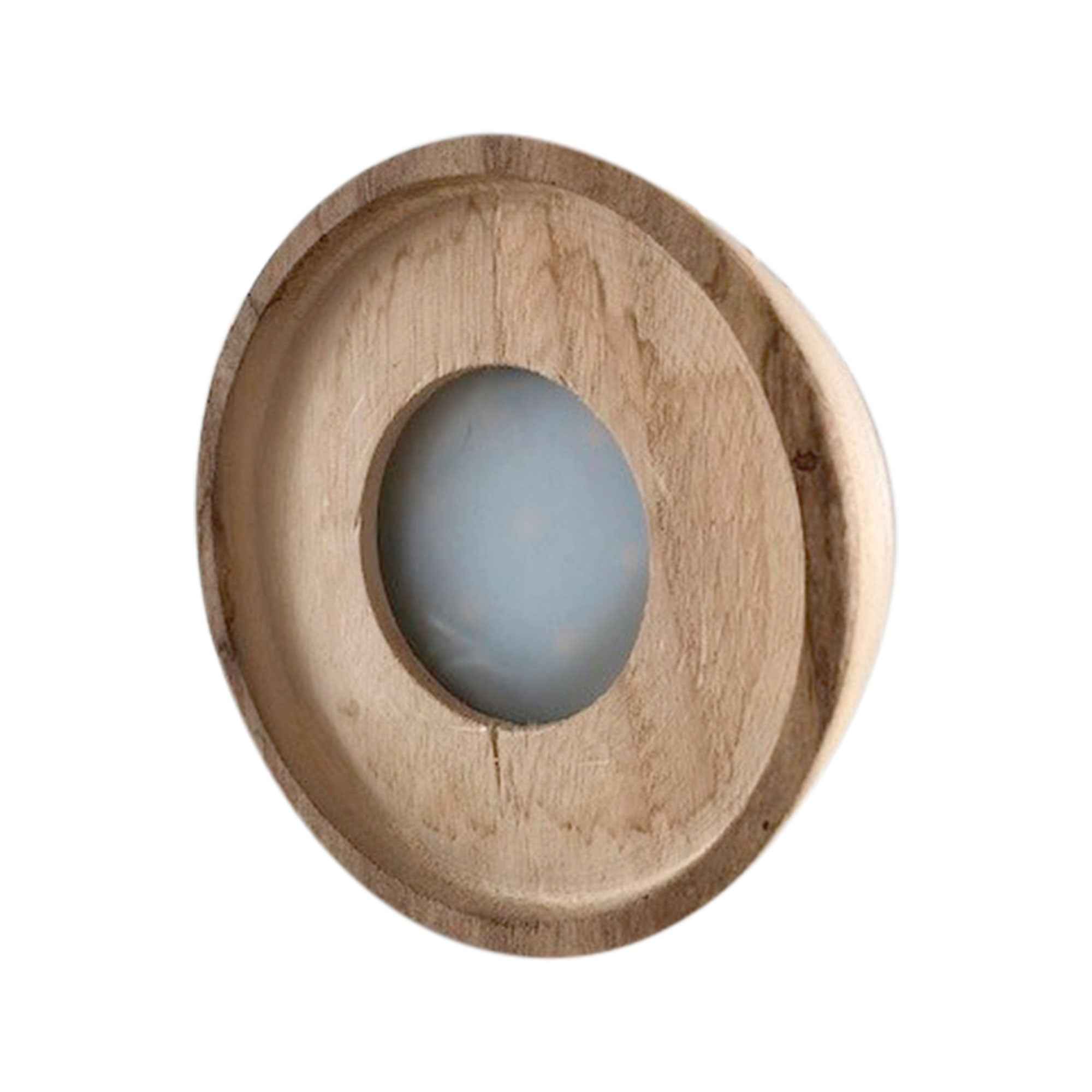Bakker Clusia Met plante verte kit vase LED