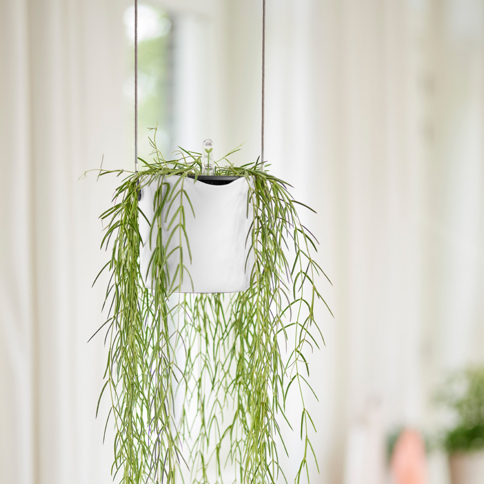 Elho B for Swing suspension blanc pot 18cm