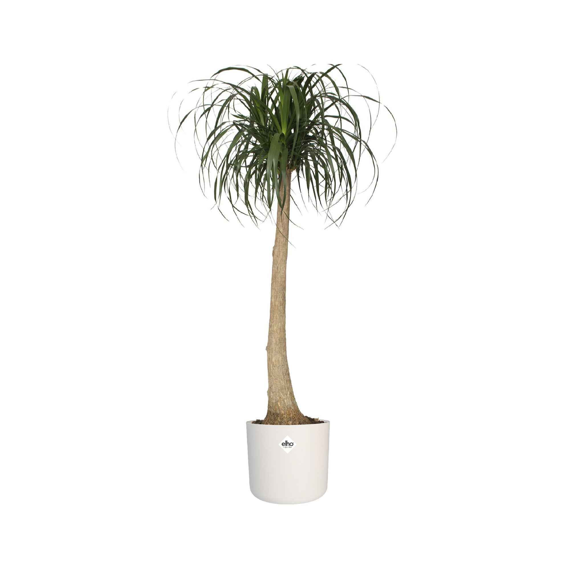 Elho B.for Soft cache-pot rond blanc Ø14 cm intérieur