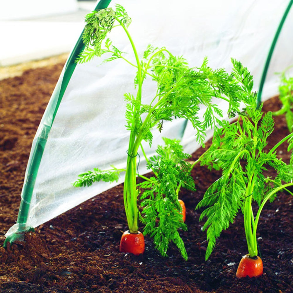 Bakker Film de forçage LDPE bâche potager L 500 x l 200 cm