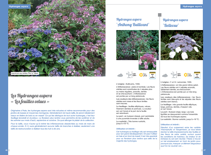 Les Hortensias du Haut Bois Encyclopédie hortensias livre jardin pépinière