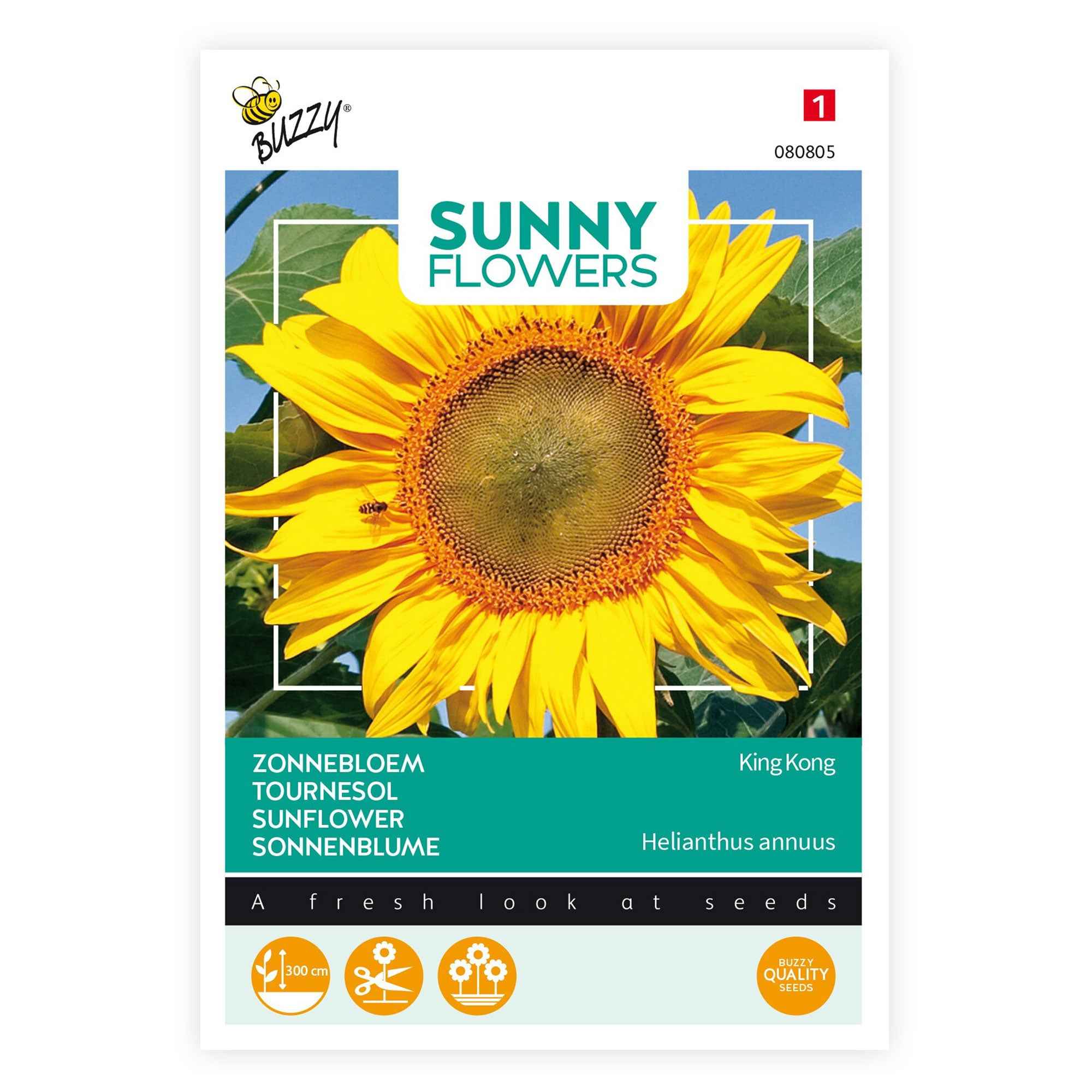 Bakker Tournesol Kong F1 graines fleurs sachet 18 graines géant