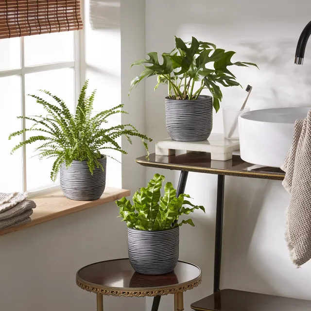 Bakker Intérieur Trio salle de bain 3 pots 12cm humidité