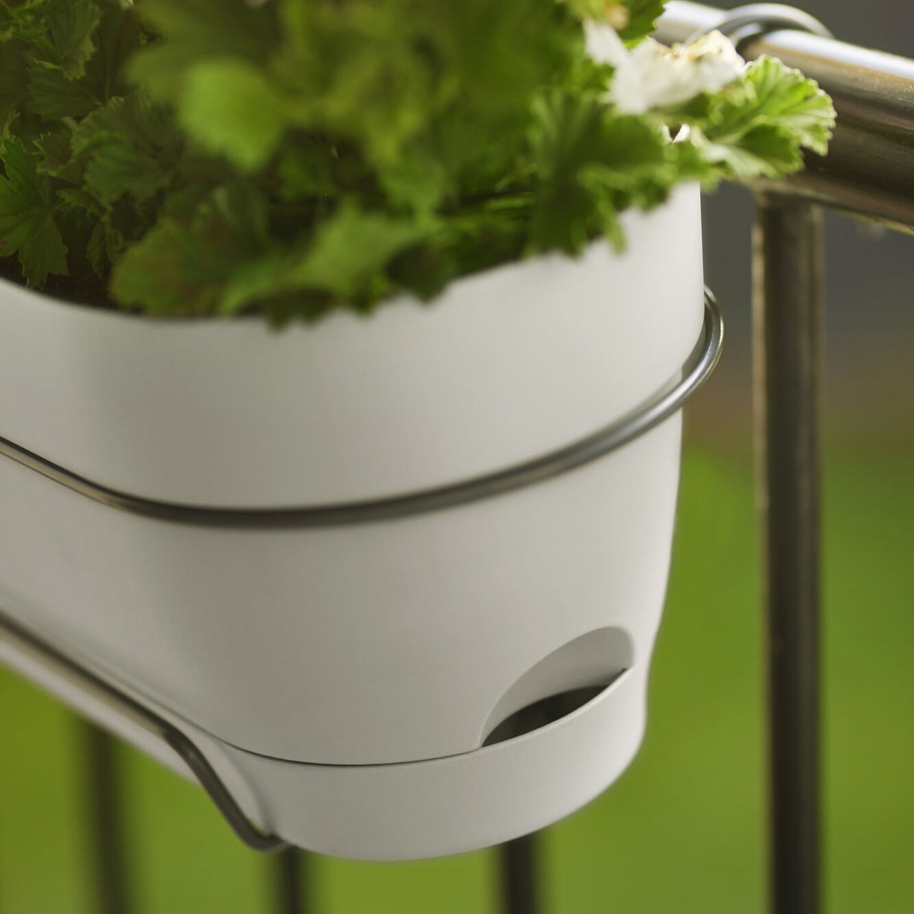 Elho Vibia Campana jardinière blanc mat rectangle