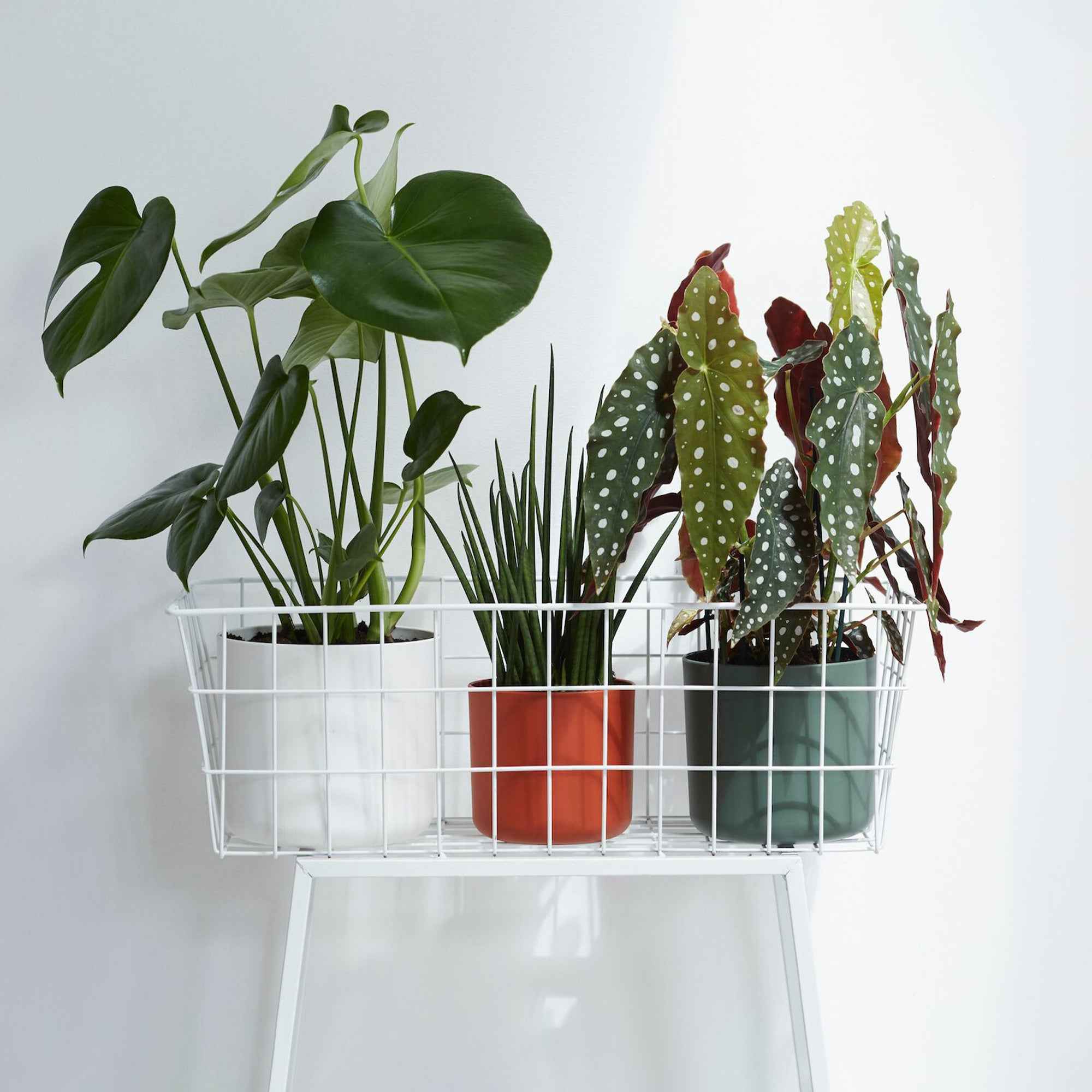 Elho B.for Soft cache-pot rond blanc Ø14 cm intérieur