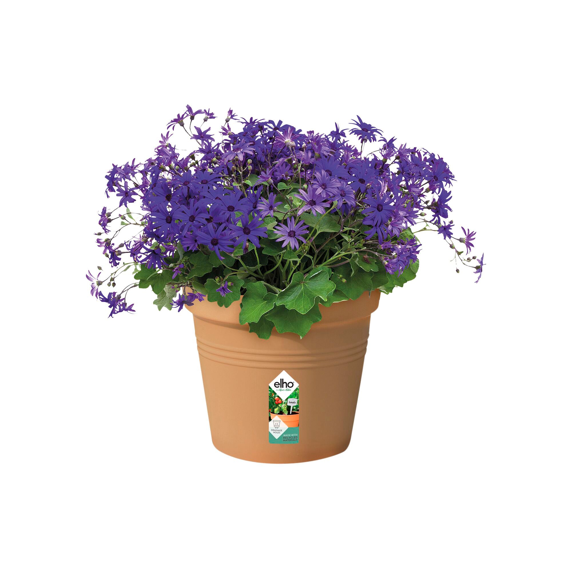 Green Basics Pot de culture terre cuite rond Ø 27 cm plastique
