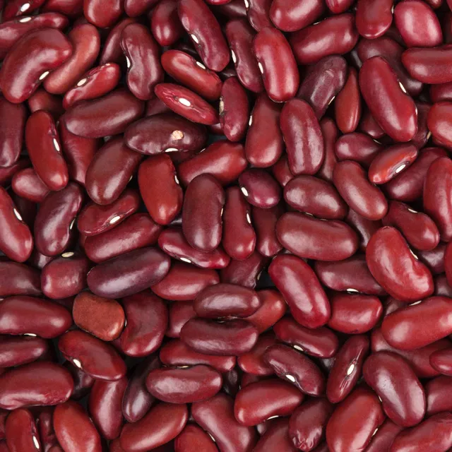 Bakker Haricot rouge graines sachet 100g à écosser