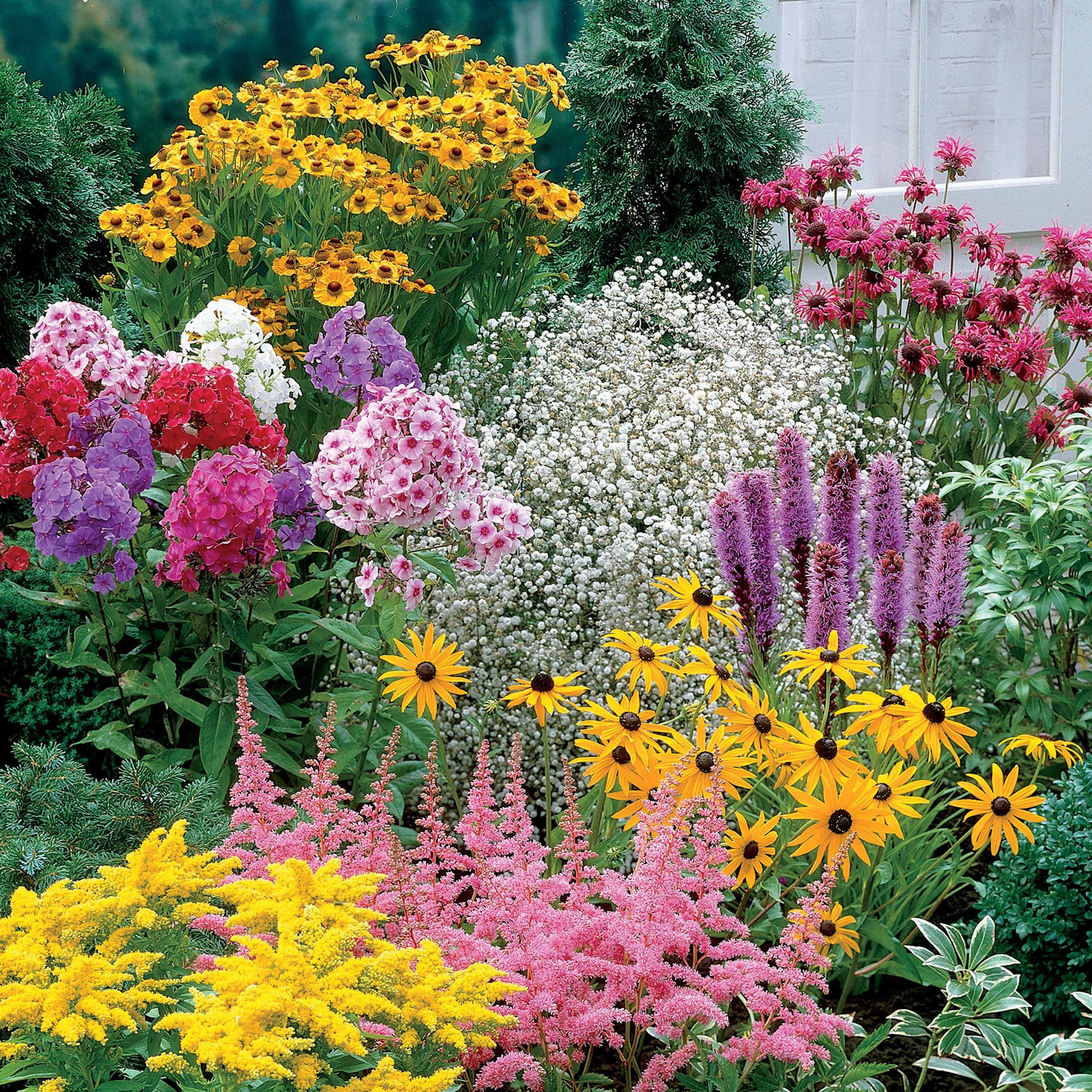 Bakker Collection 15 plantes vivaces racines nues 2 m²