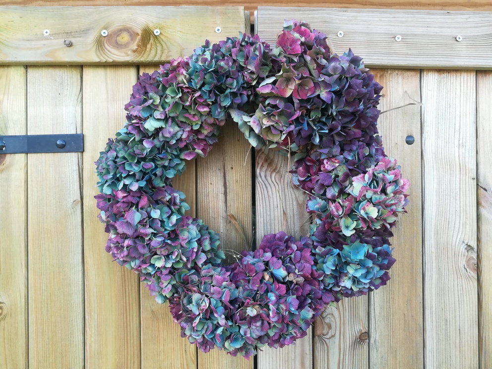 Les Hortensias du Haut Bois couronne hortensias semi-séchée