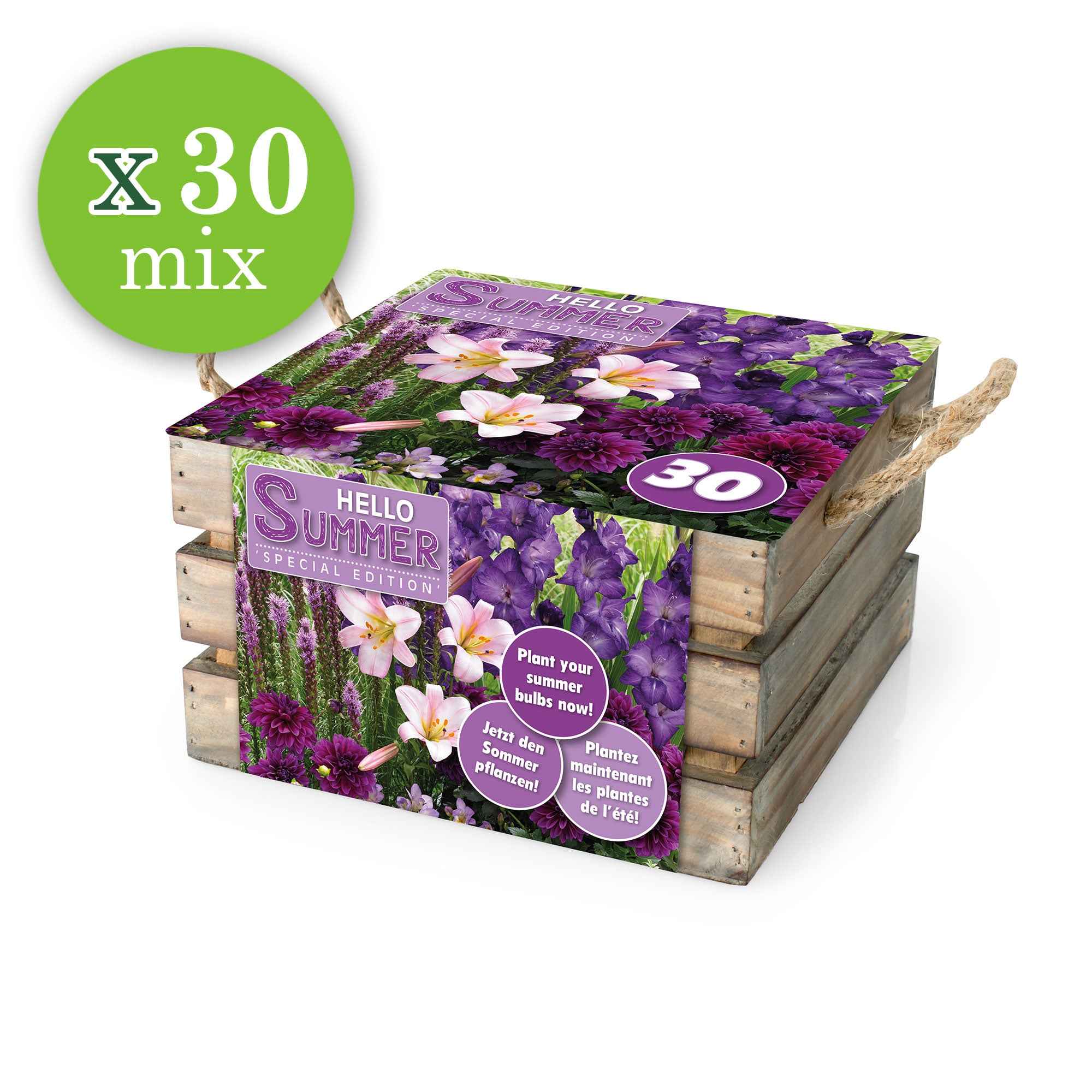 Bakker Hello Summer mélange 30 bulbes fleurs d'été