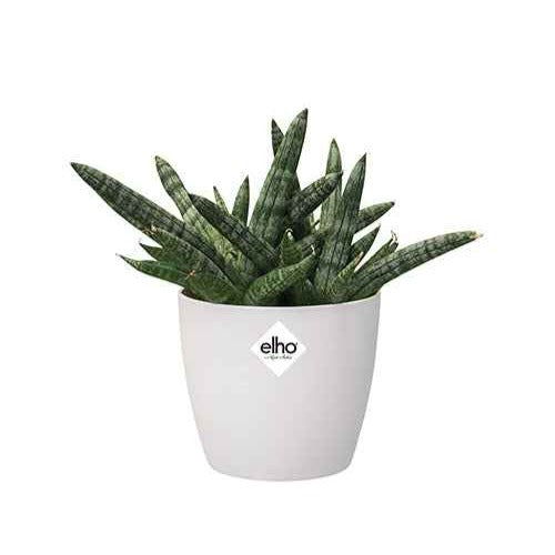Elho Pot Brussels rond blanc cache-pot Ø12,5cm