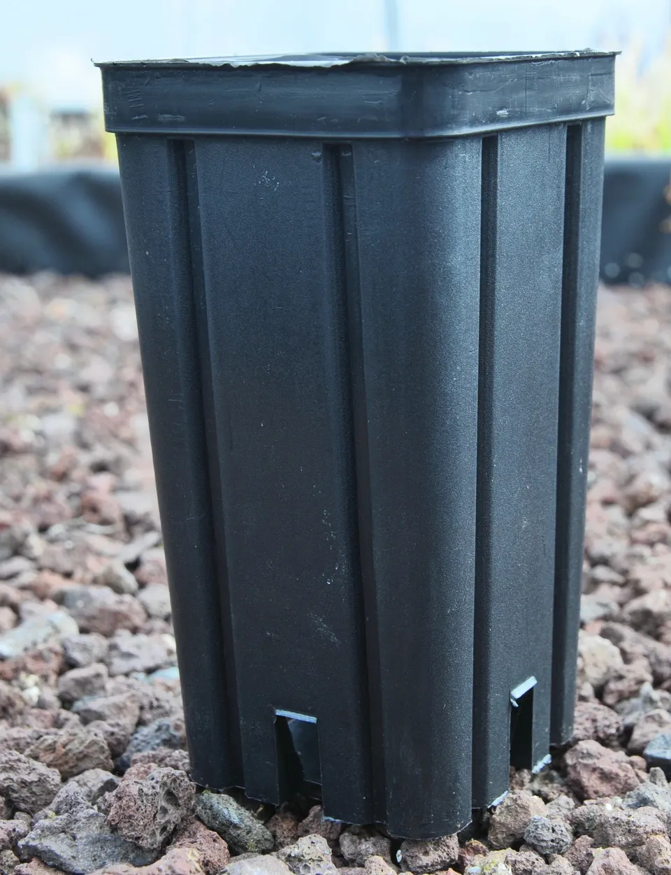 Carniflore Tout pour cultiver pots hauts 7x7x14cm pot 5 pots noir