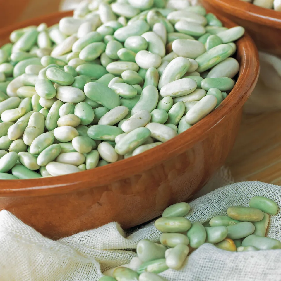 Bakker Verdelys Haricot nain à écosser sachet 75g grains blancs