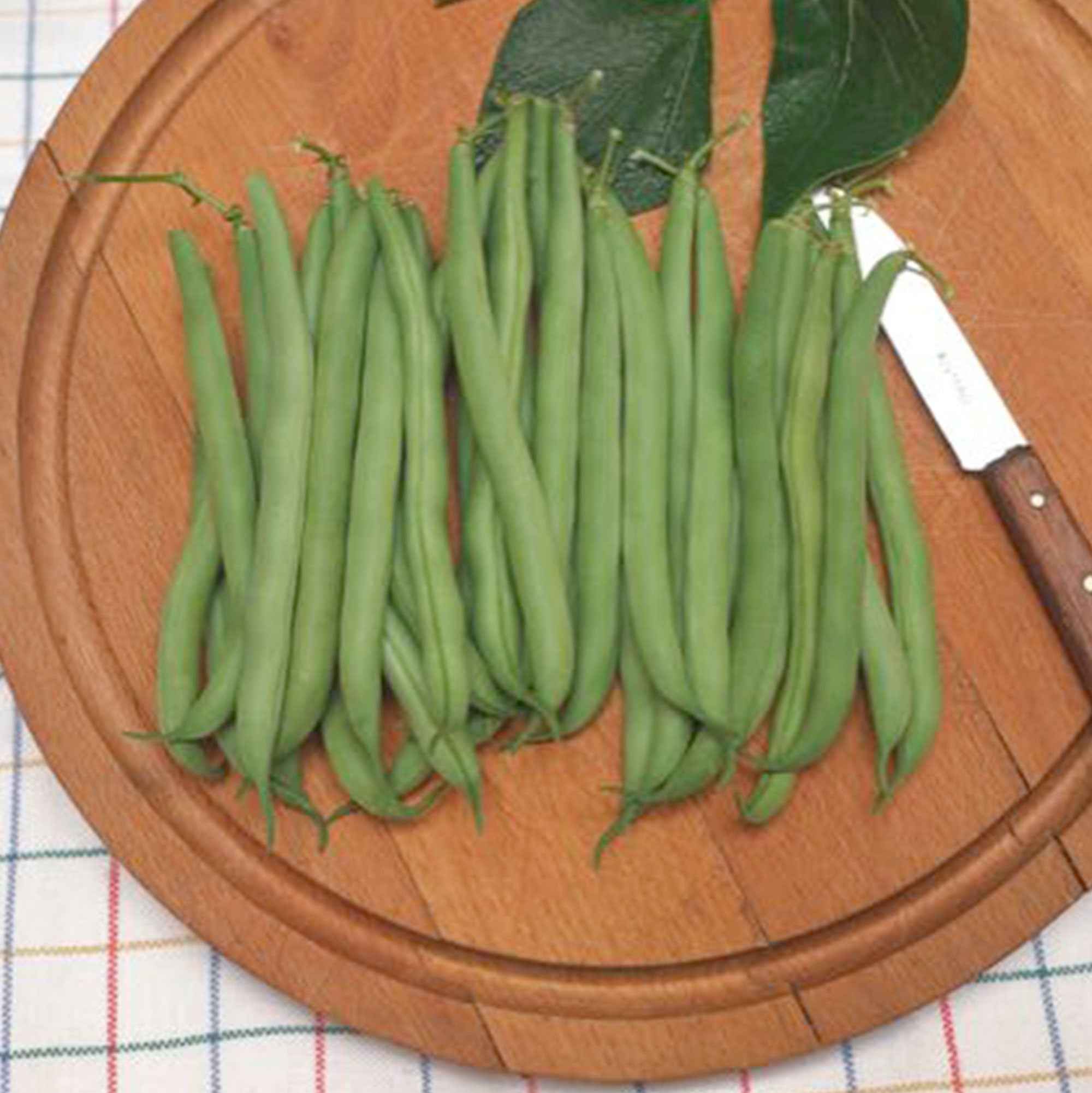 Bakker Haricot nain Prélude graine sachet 90 g précoce