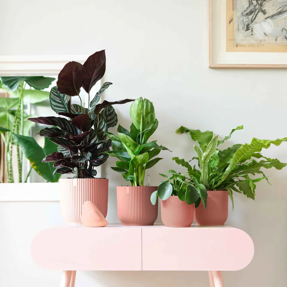 Elho Vibes Fold pot fleurs rose cache-pot Ø 14cm plastique