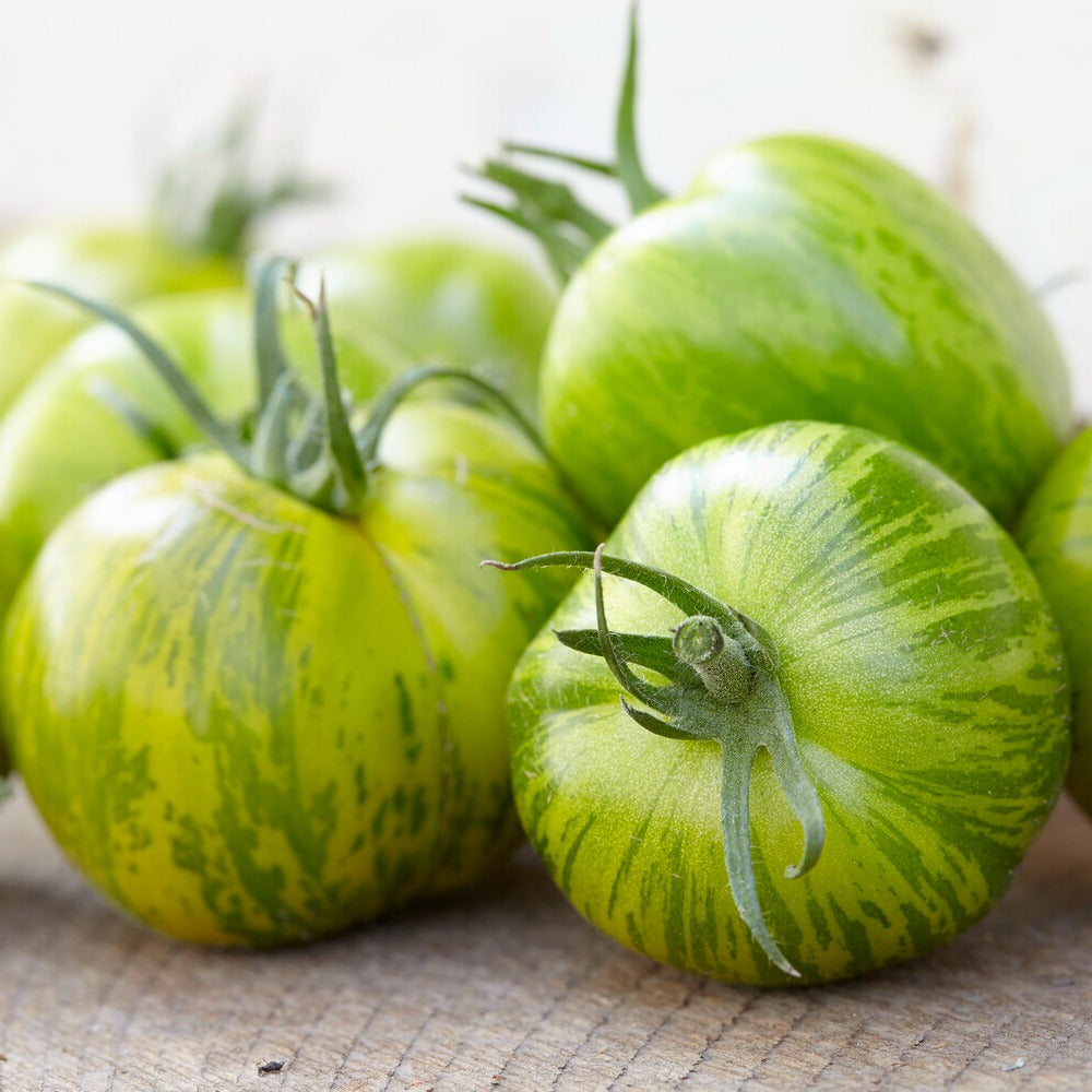 Bakker Potager et Graines Tomate Green Zebra graines sachet 0,15g rayée