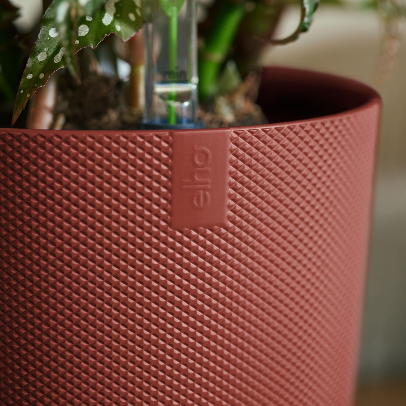 Bakker Jazz cache-pot rond terracotta Ø14cm plastique
