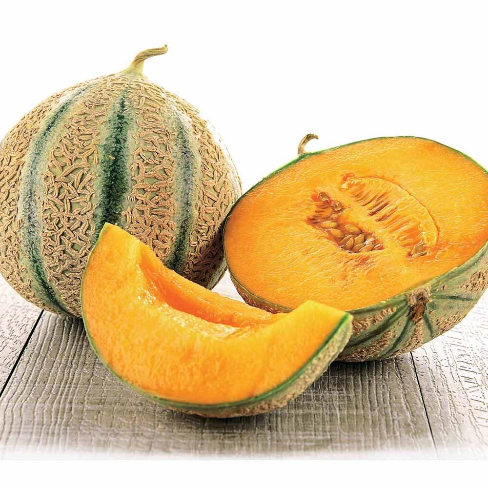 Bakker Stellio F1 melon sachet 6 graines chair sucrée