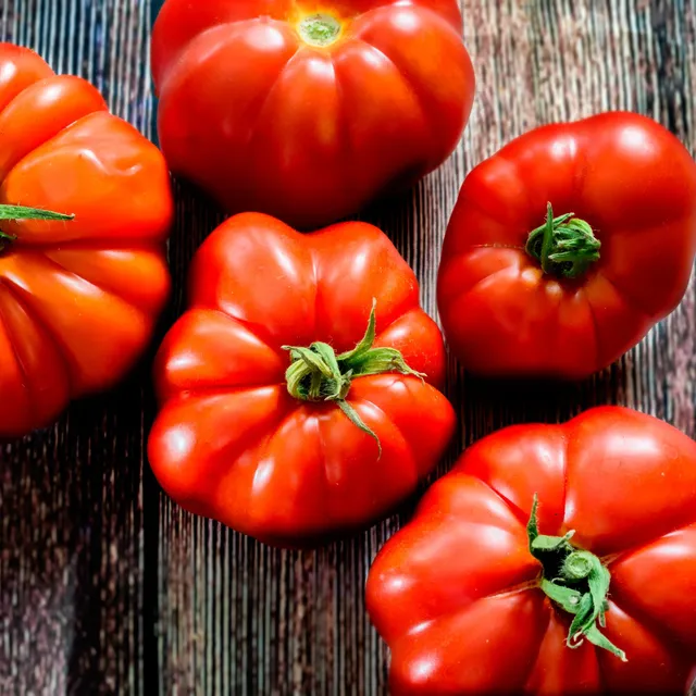 Bakker Marmande tomate à gros fruits sachet 75 graines