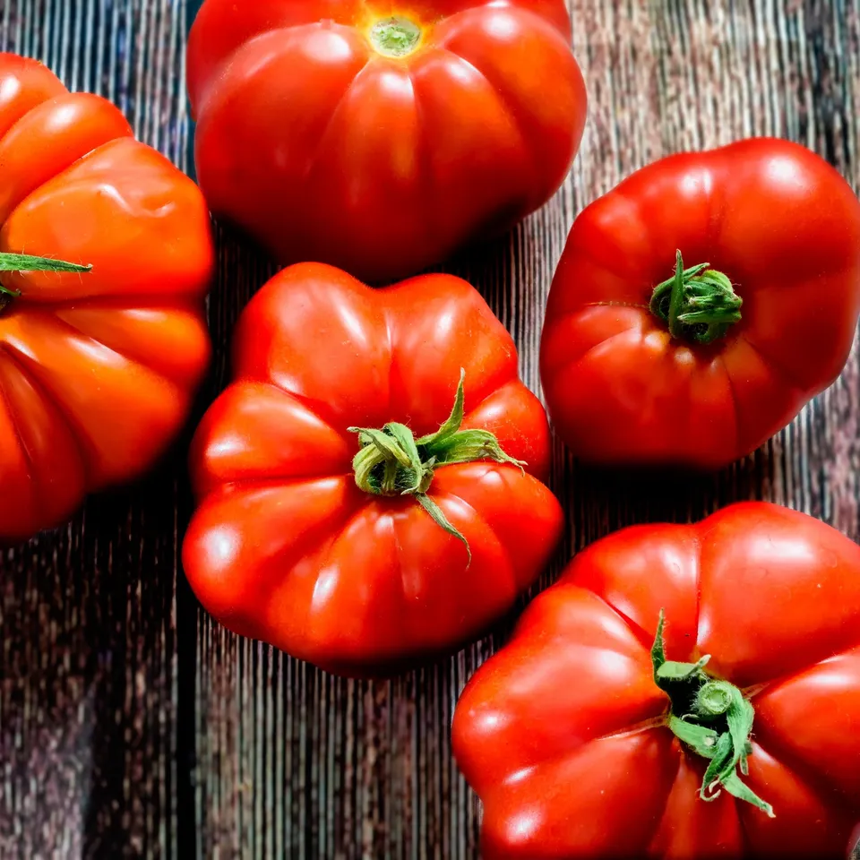 Bakker Marmande tomate à gros fruits sachet 75 graines