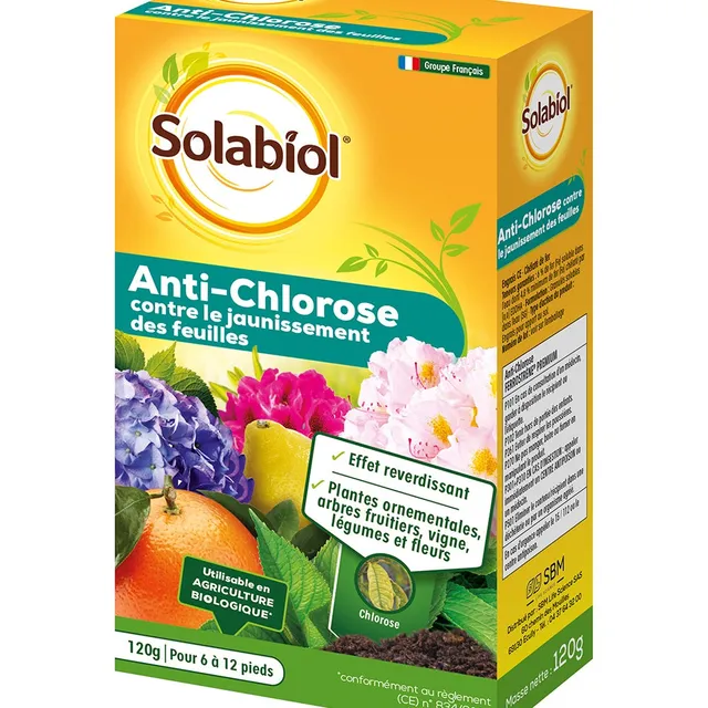 Bakker Ferrostrene Solabiol anti-chlorose 120g feuilles vertes