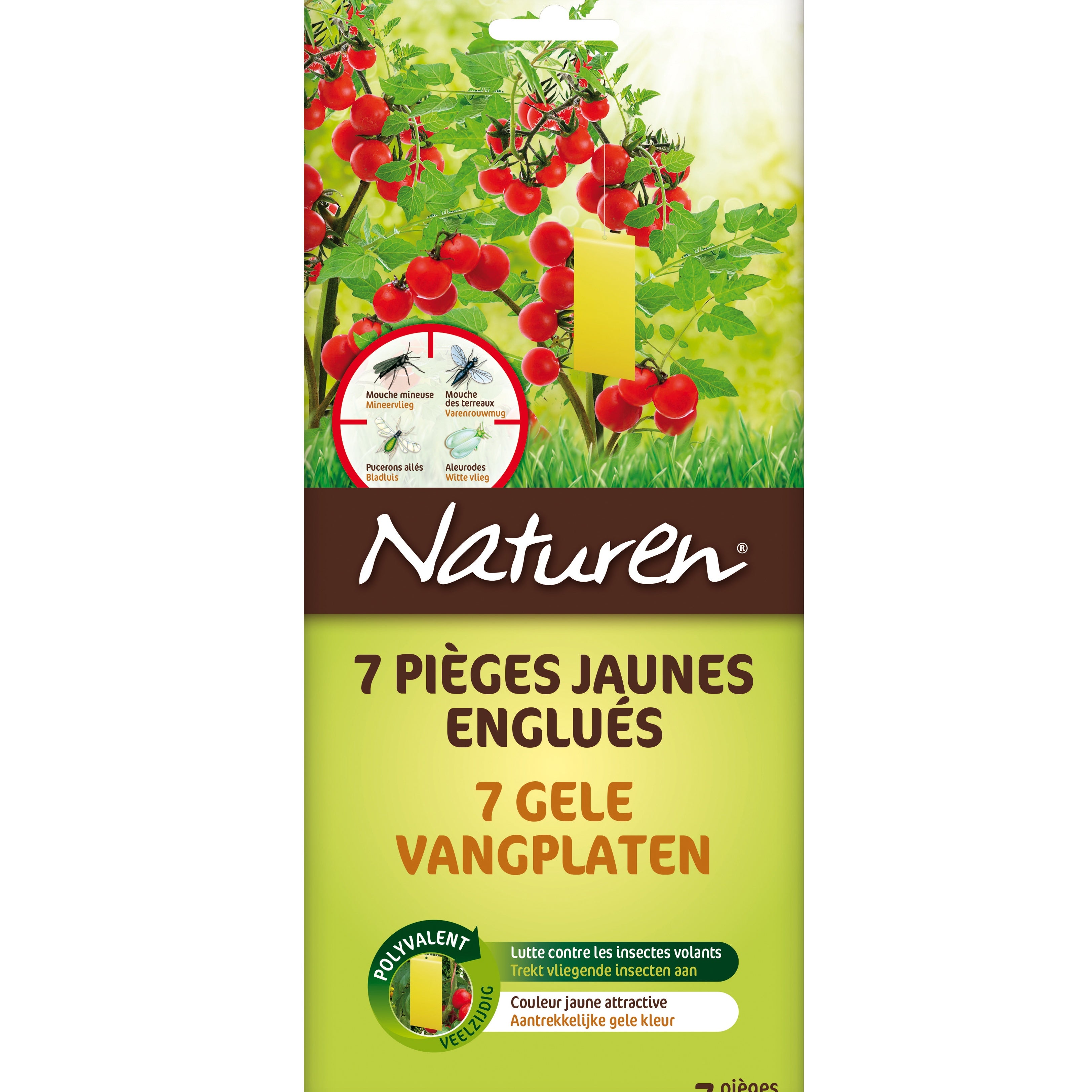 Naturen Pièges jaunes englués lot de 7 anti-insectes