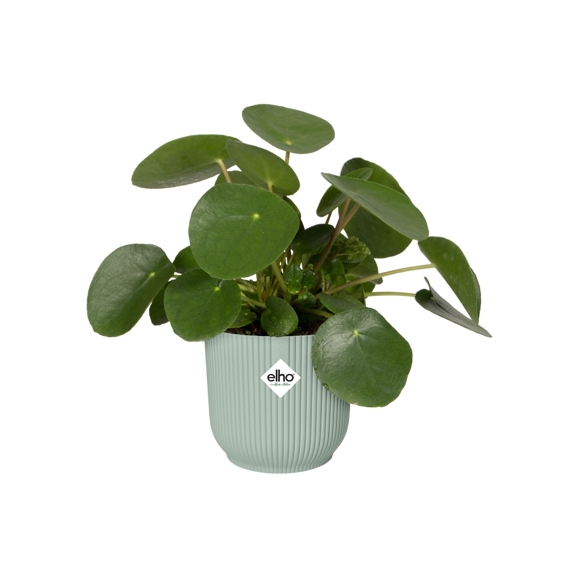 Elho Vibes Fold cache-pot rond vert sorbet Ø14cm
