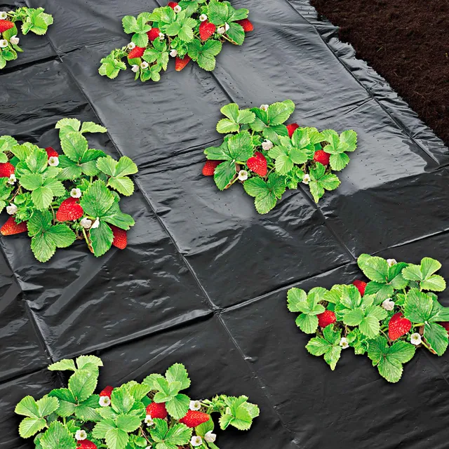 Bakker Film noir toile de paillage 500x140 cm anti-herbe