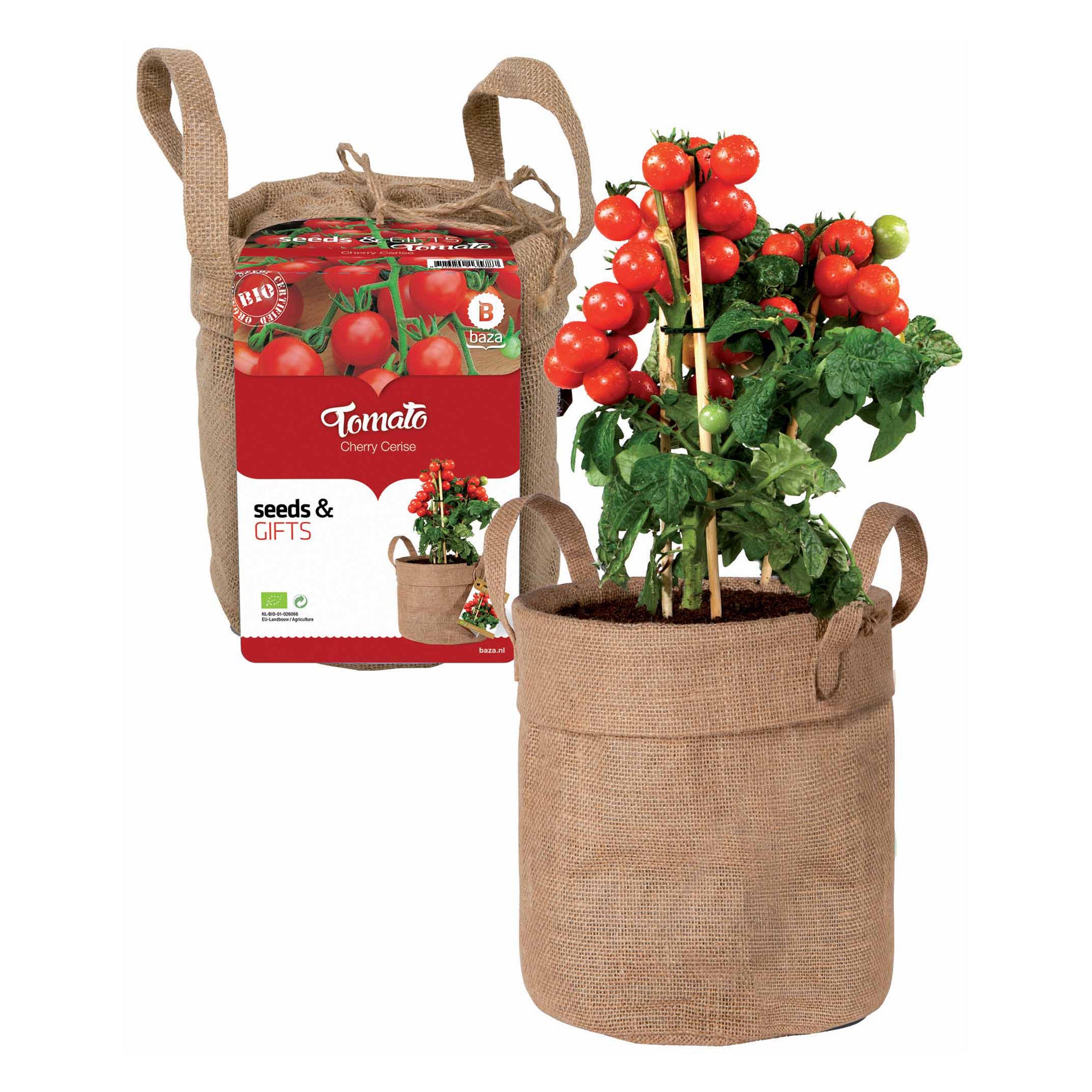 Bakker Kit Tomate cerise graines + terreau + sac déco