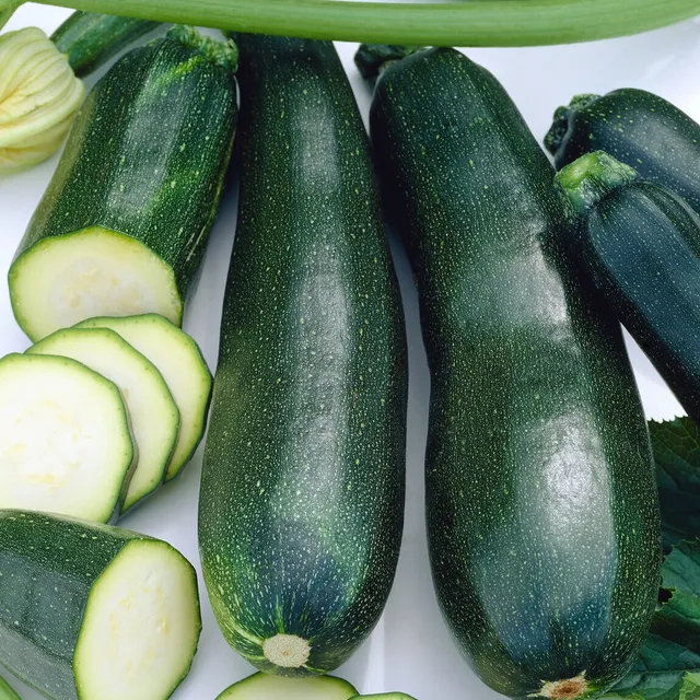 Bakker Black Beauty courgette graine sachet 5g productive